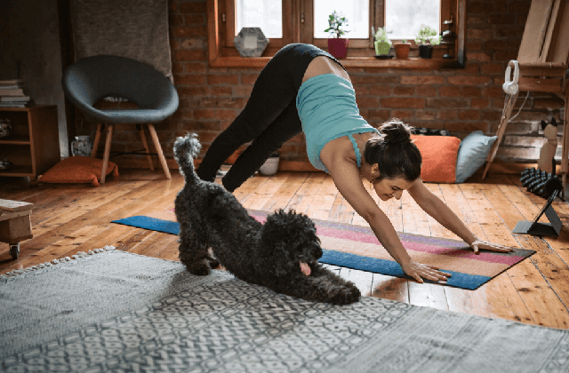Skills To Look For In A Pilates Inspector